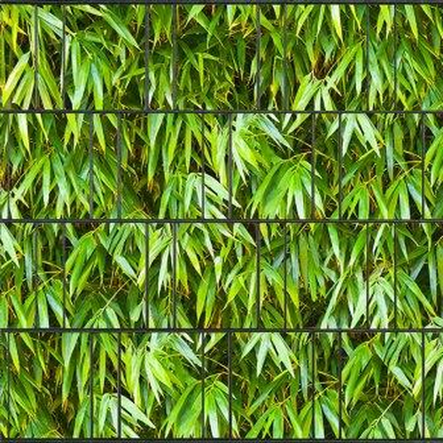26 m Bambusblätter